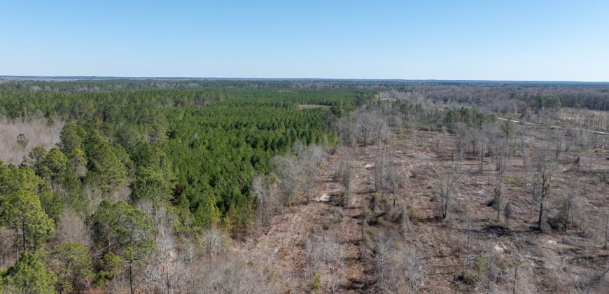 Wilcox Olcmulgee River Corridor Farm