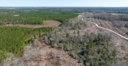 Wilcox Olcmulgee River Corridor Farm