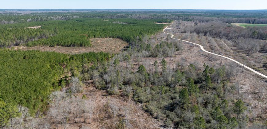 Wilcox Olcmulgee River Corridor Farm