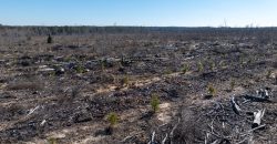 Laurens County Whitewater CreeK Farm