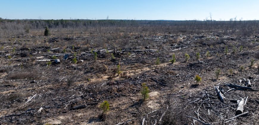 Laurens County Whitewater CreeK Farm