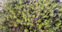 Laurens County Whitewater CreeK Farm