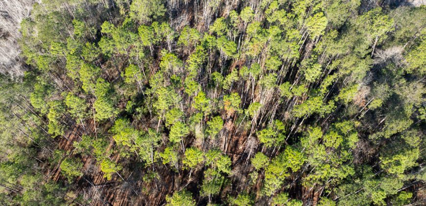 Laurens County Whitewater CreeK Farm