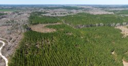 Wilcox Olcmulgee River Corridor Farm