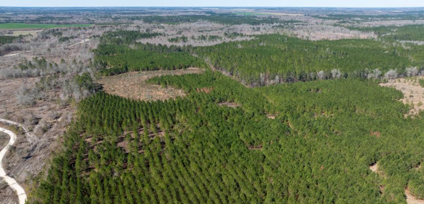 Wilcox Olcmulgee River Corridor Farm