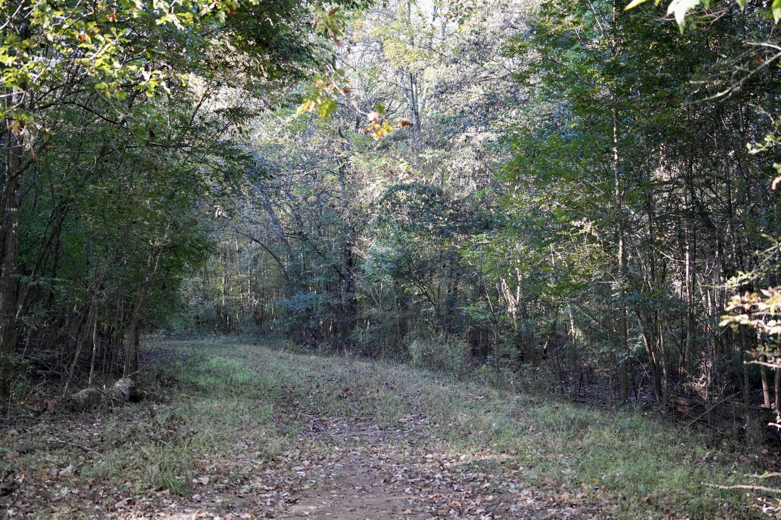 Savage Creek/Ocmulgee River Tract
