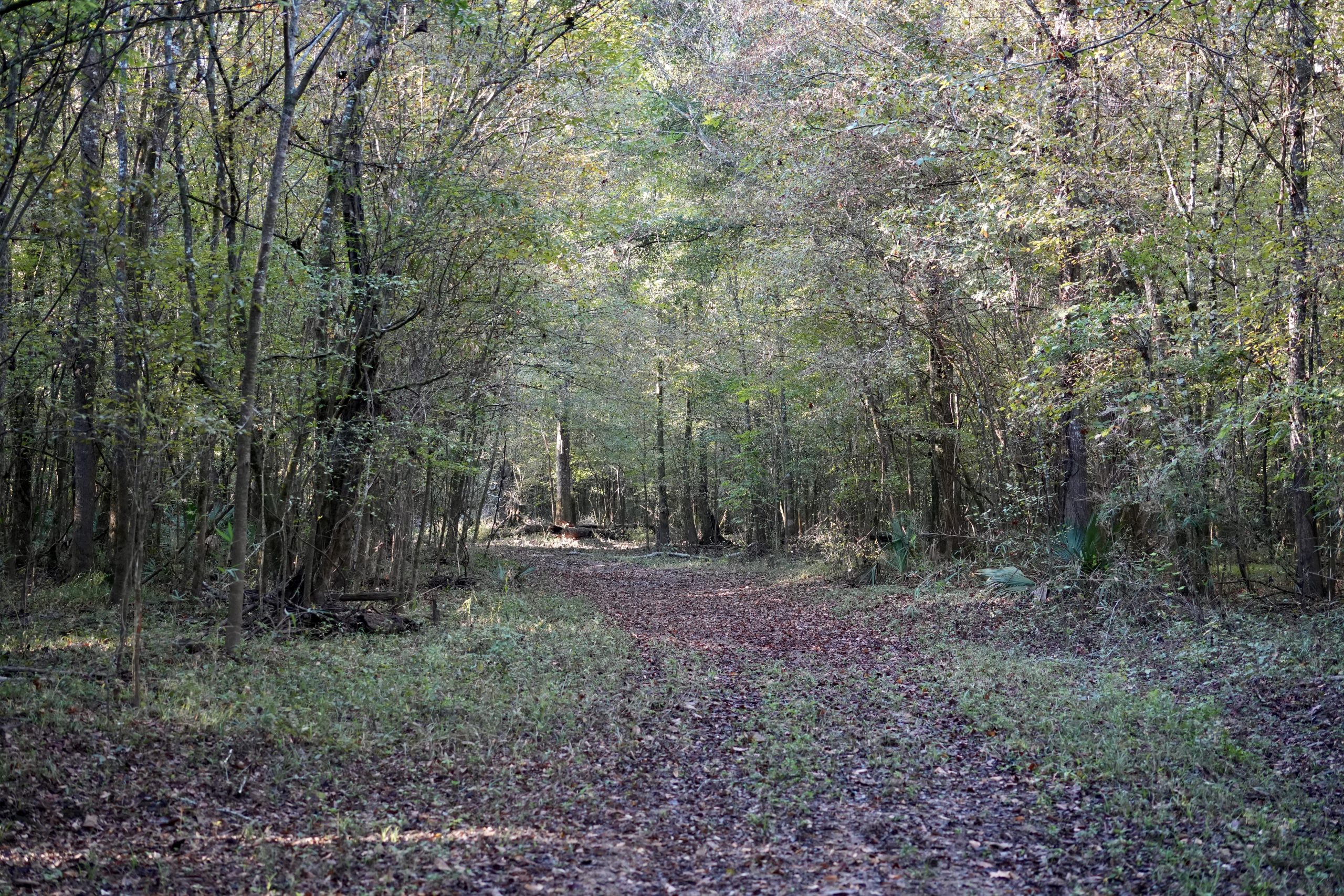 Savage Creek/Ocmulgee River Tract