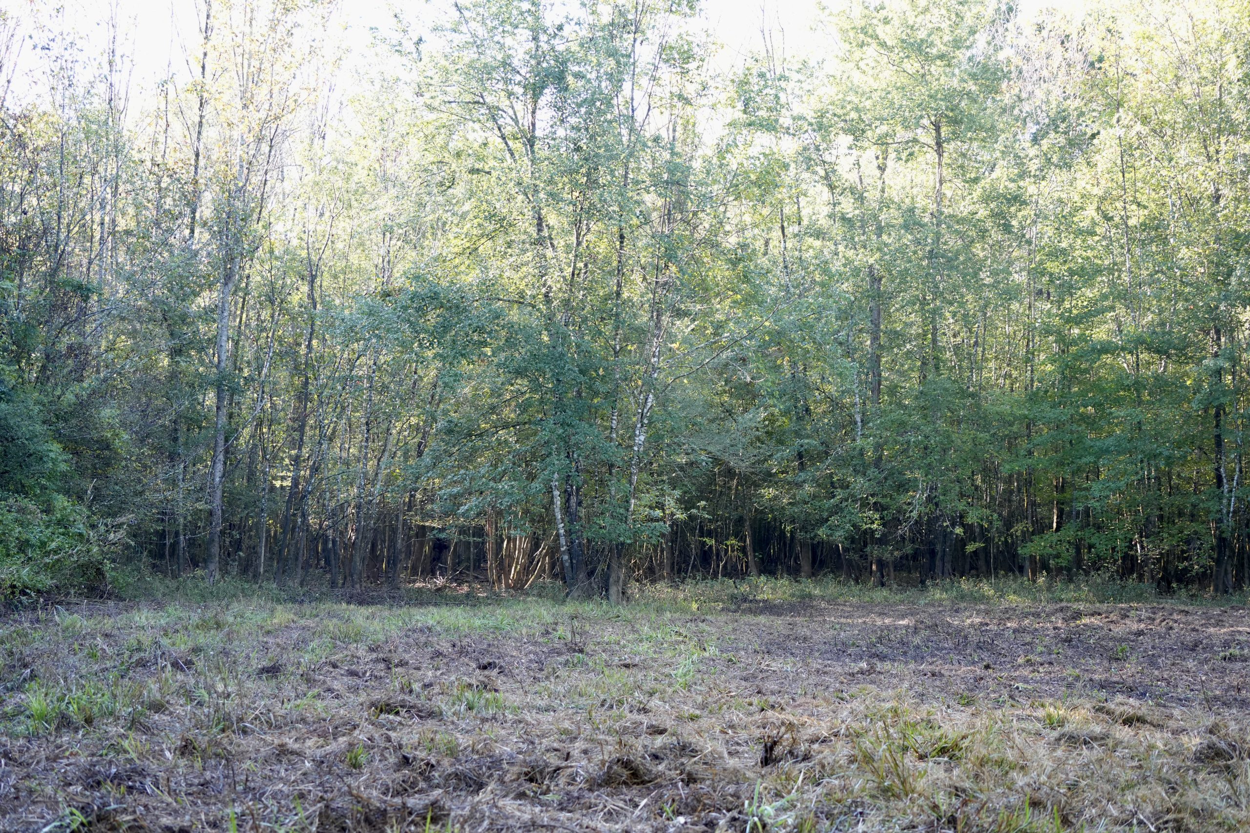 Savage Creek/Ocmulgee River Tract