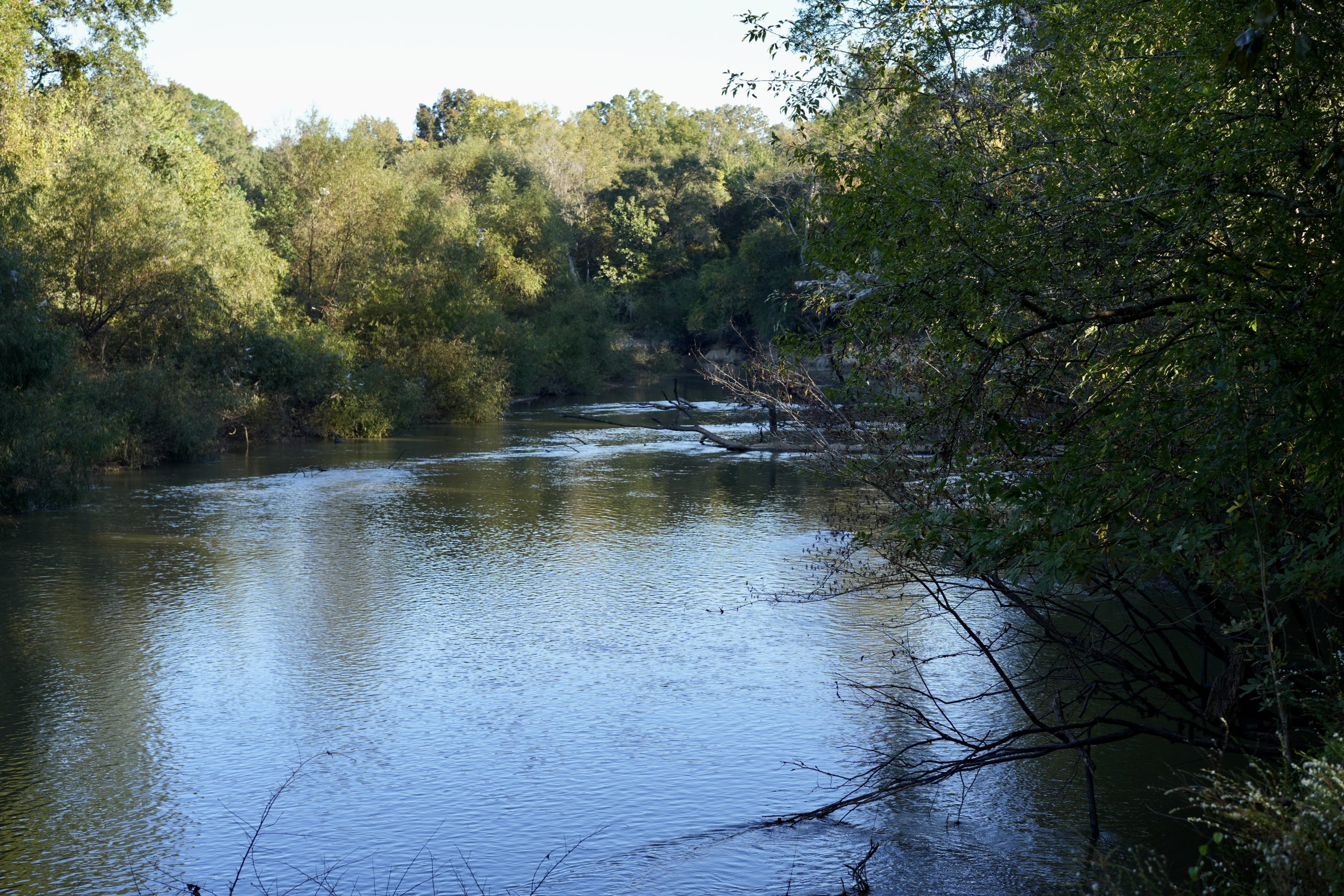 Savage Creek/Ocmulgee River Tract