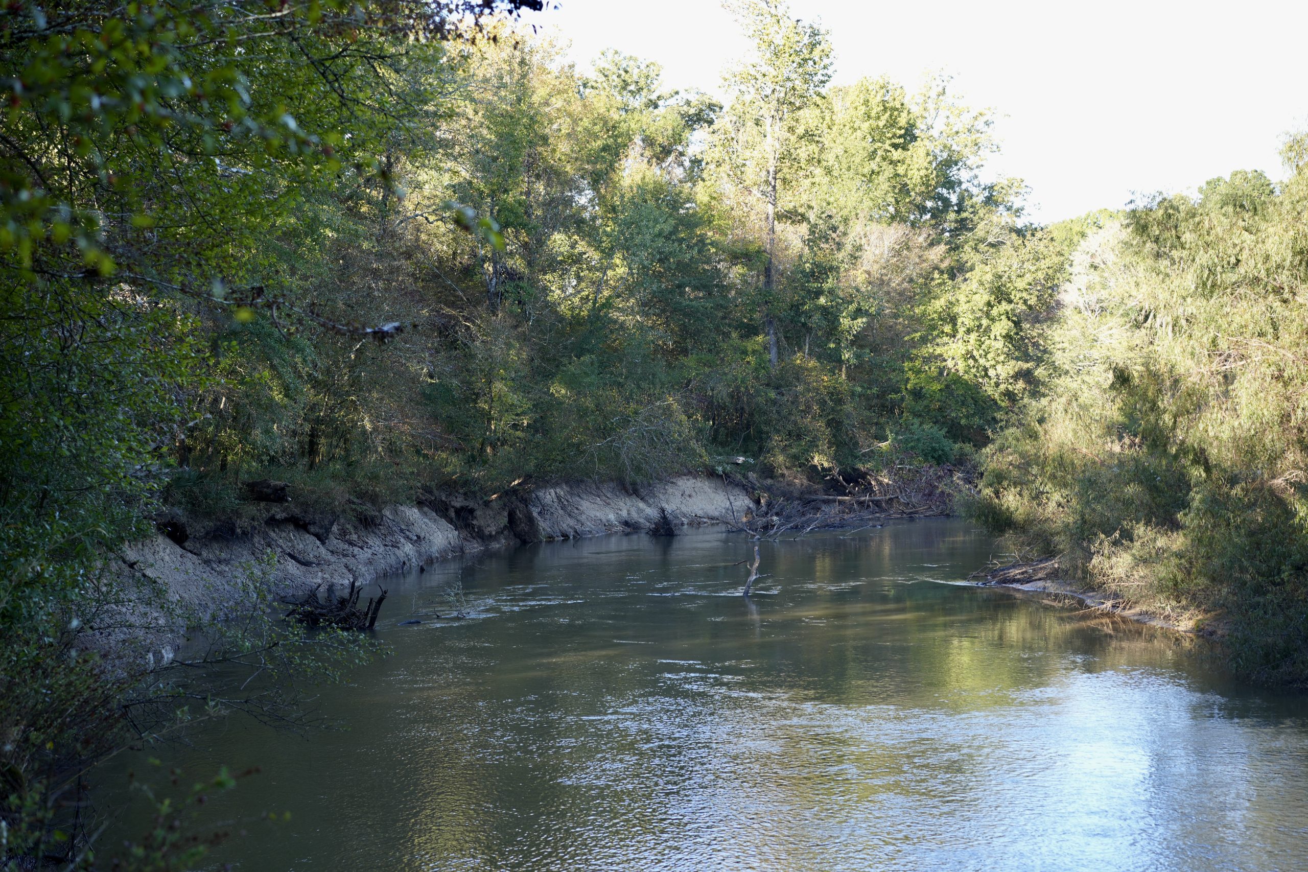 Savage Creek/Ocmulgee River Tract