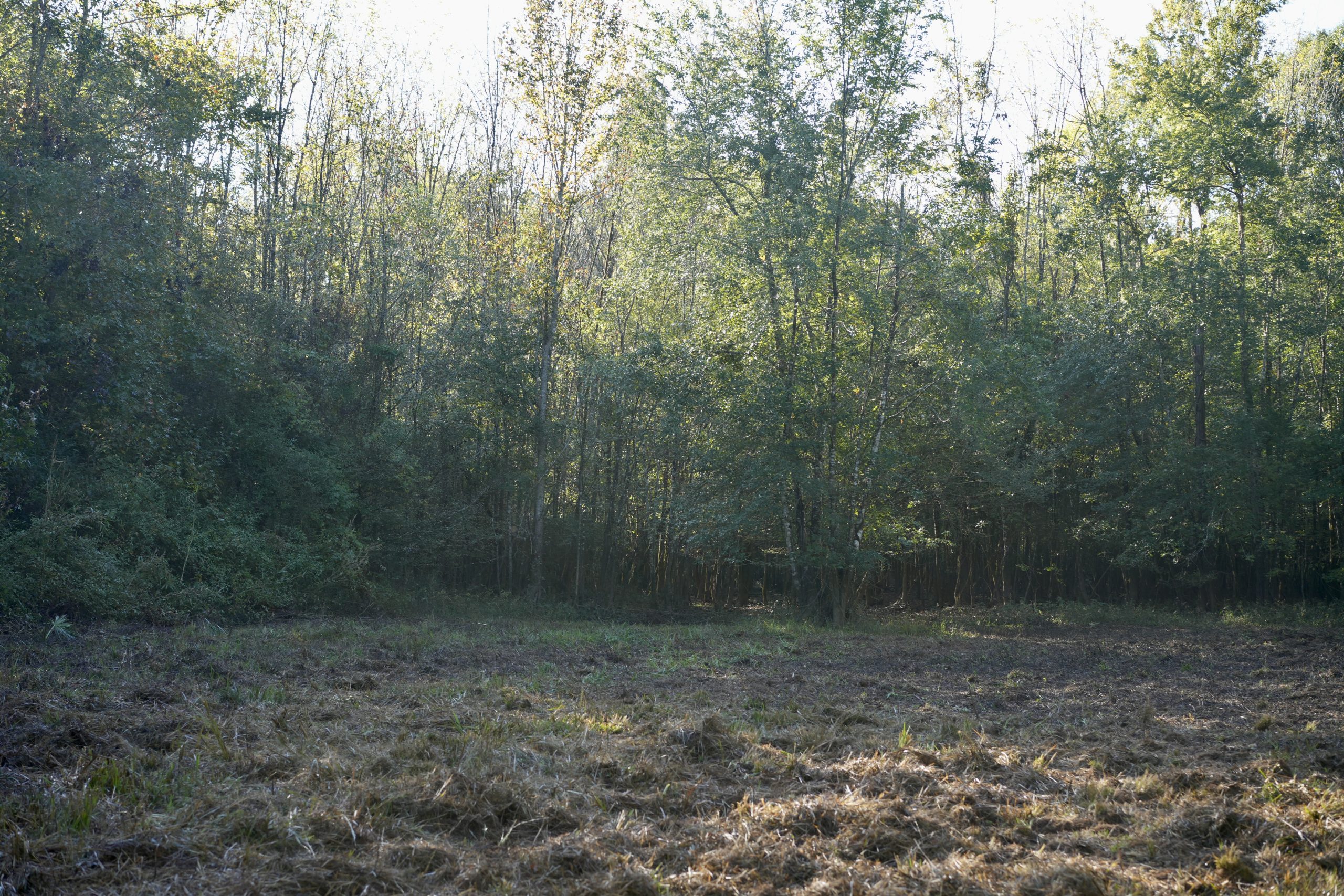 Savage Creek/Ocmulgee River Tract