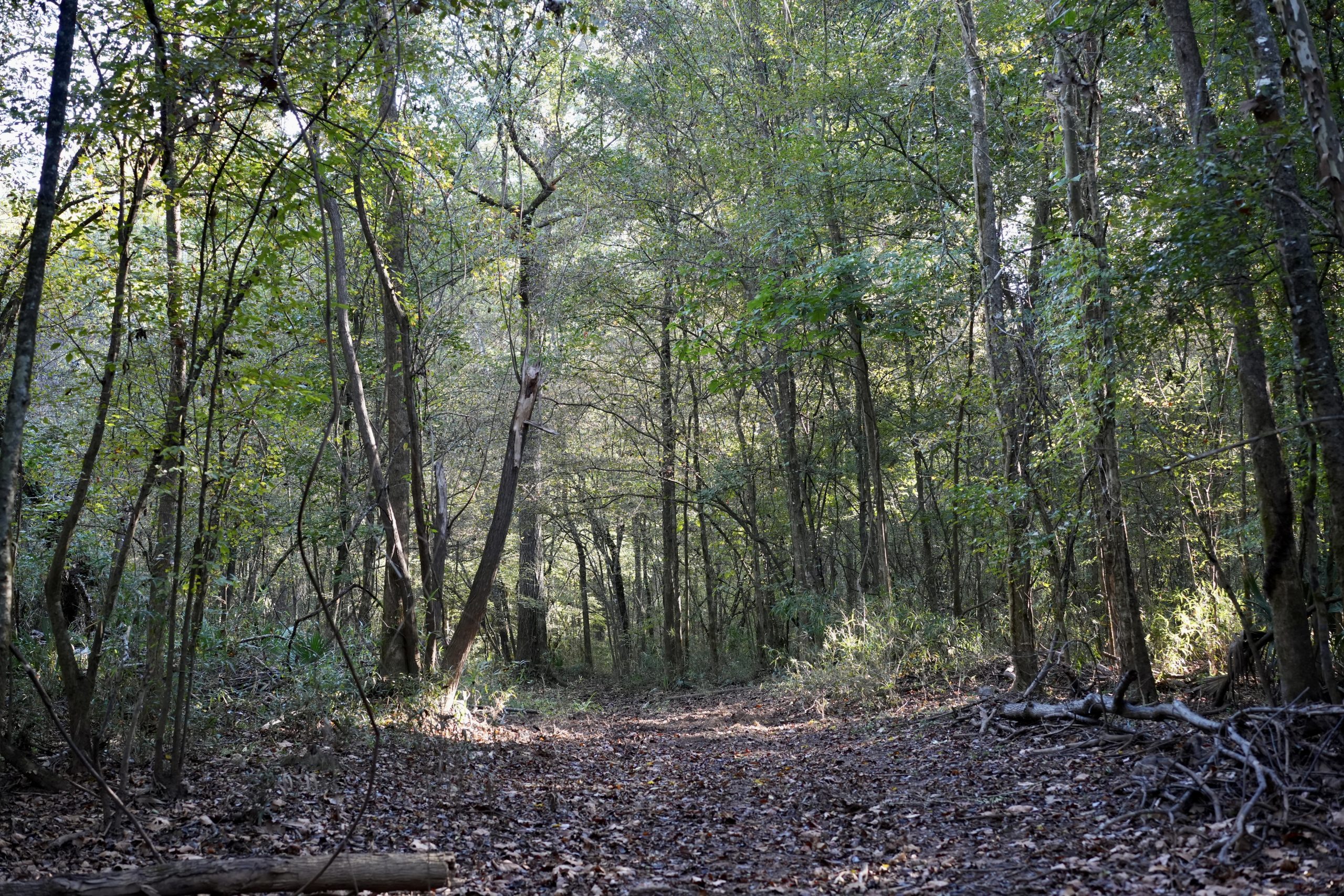 Savage Creek/Ocmulgee River Tract