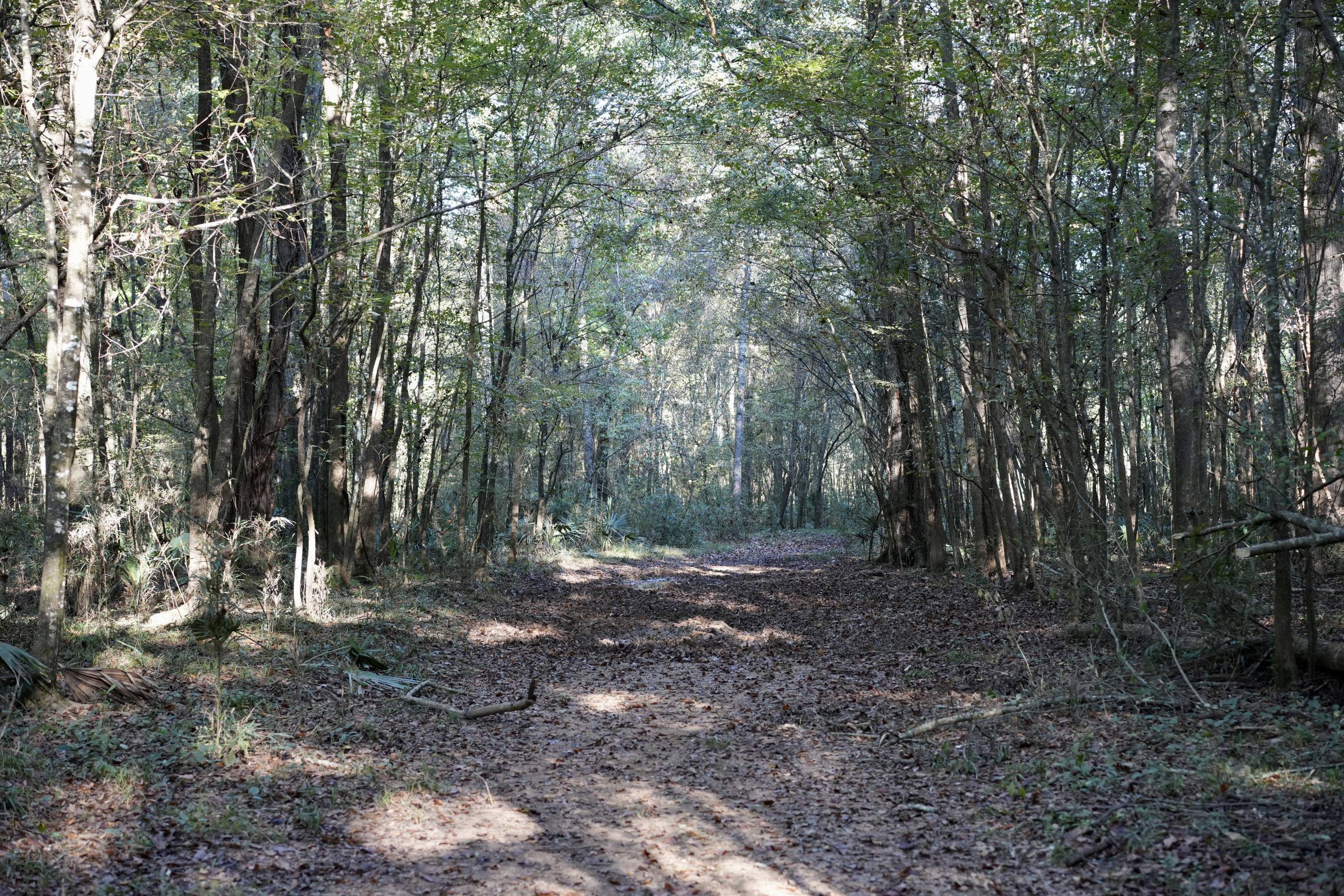 Savage Creek/Ocmulgee River Tract