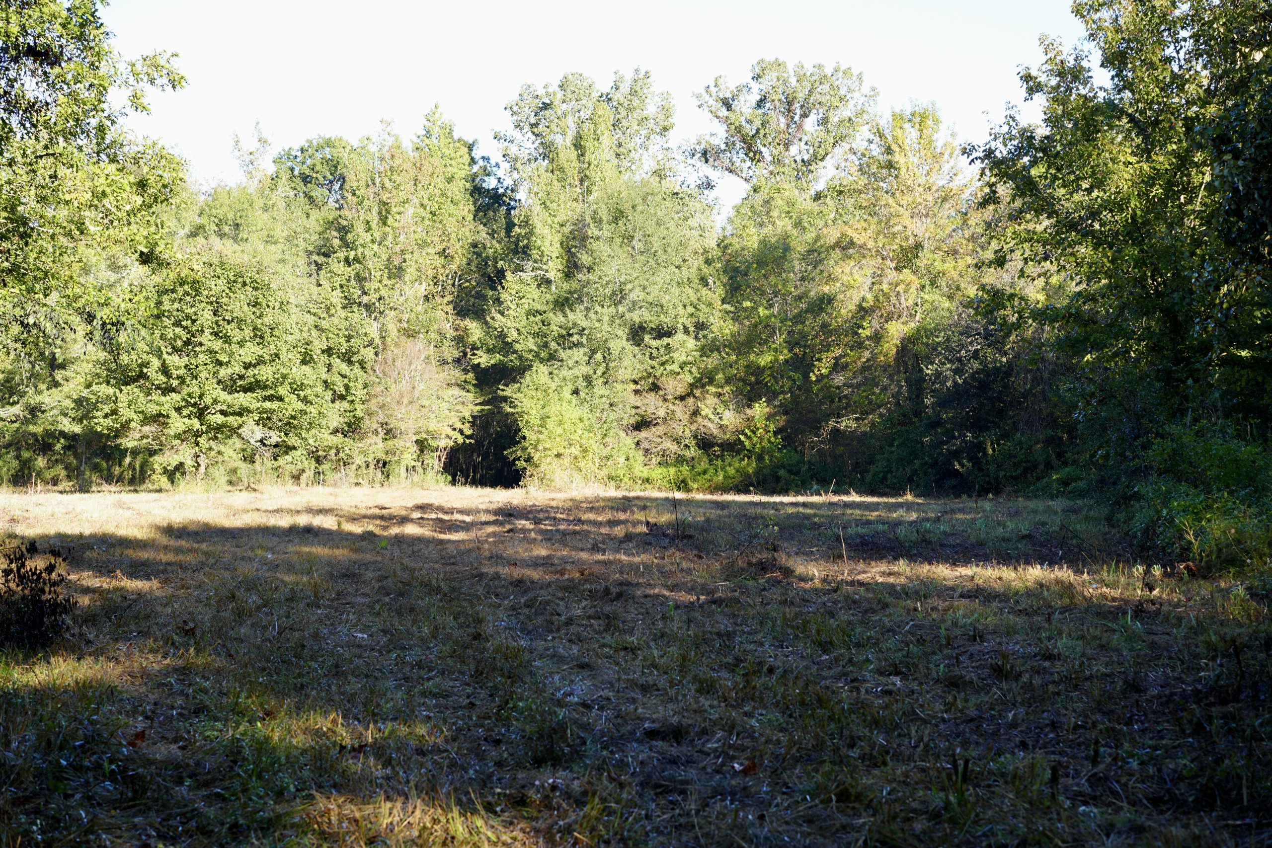 Savage Creek/Ocmulgee River Tract