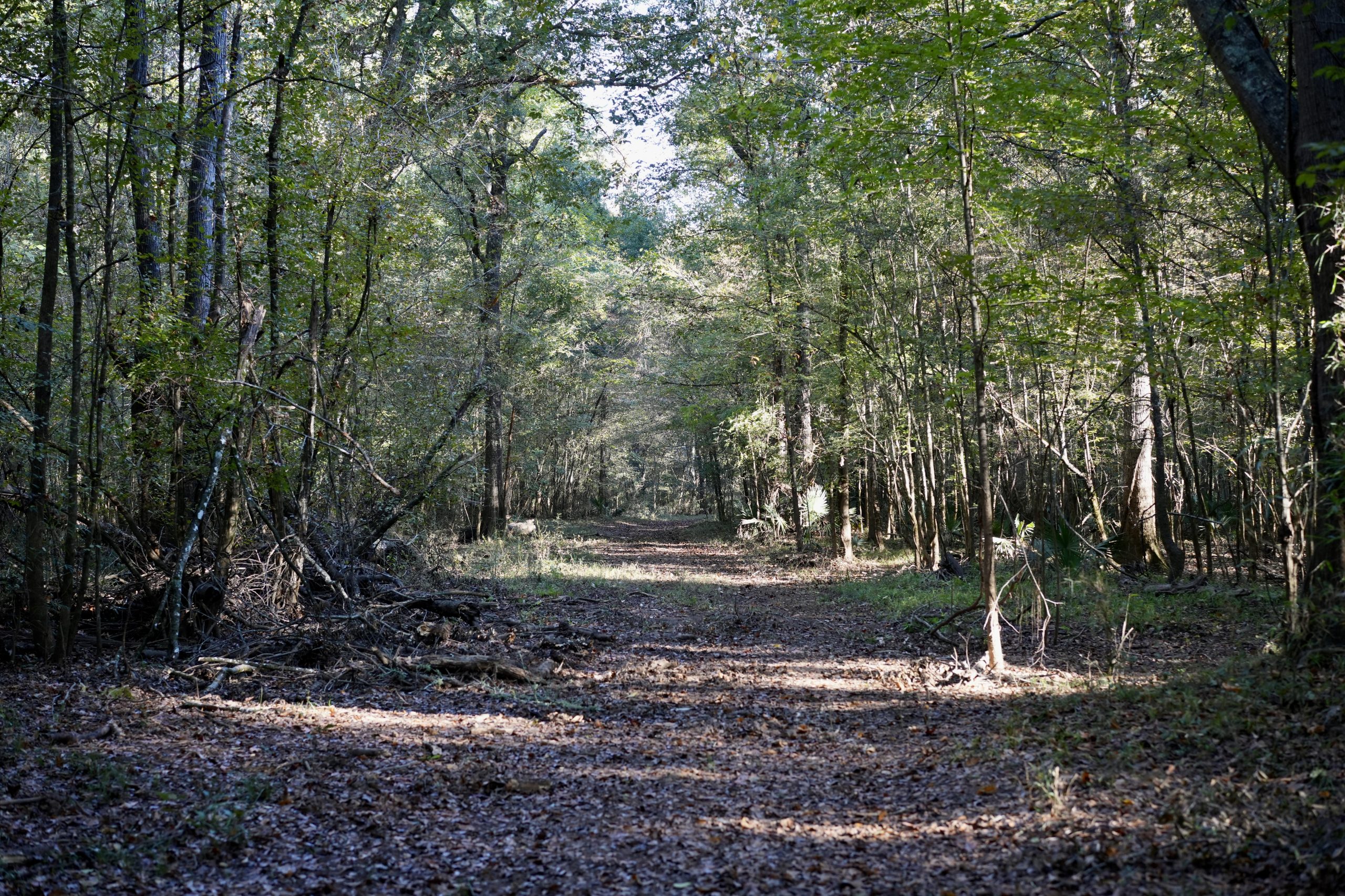 Savage Creek/Ocmulgee River Tract