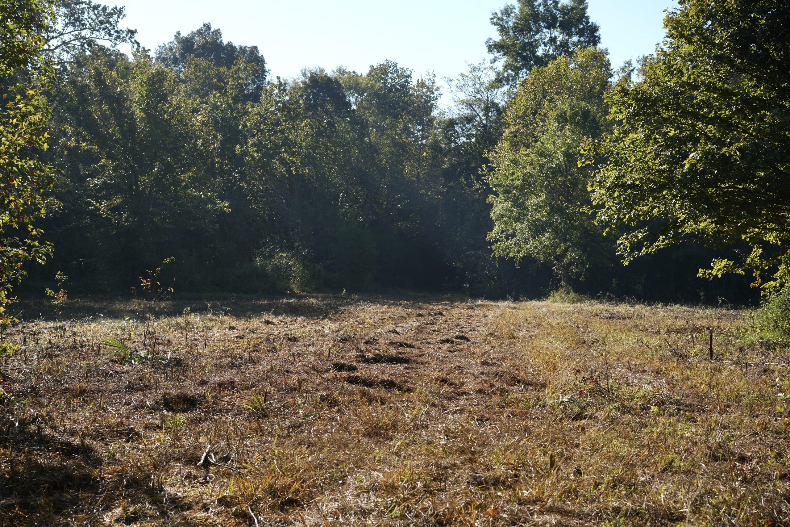 Savage Creek/Ocmulgee River Tract