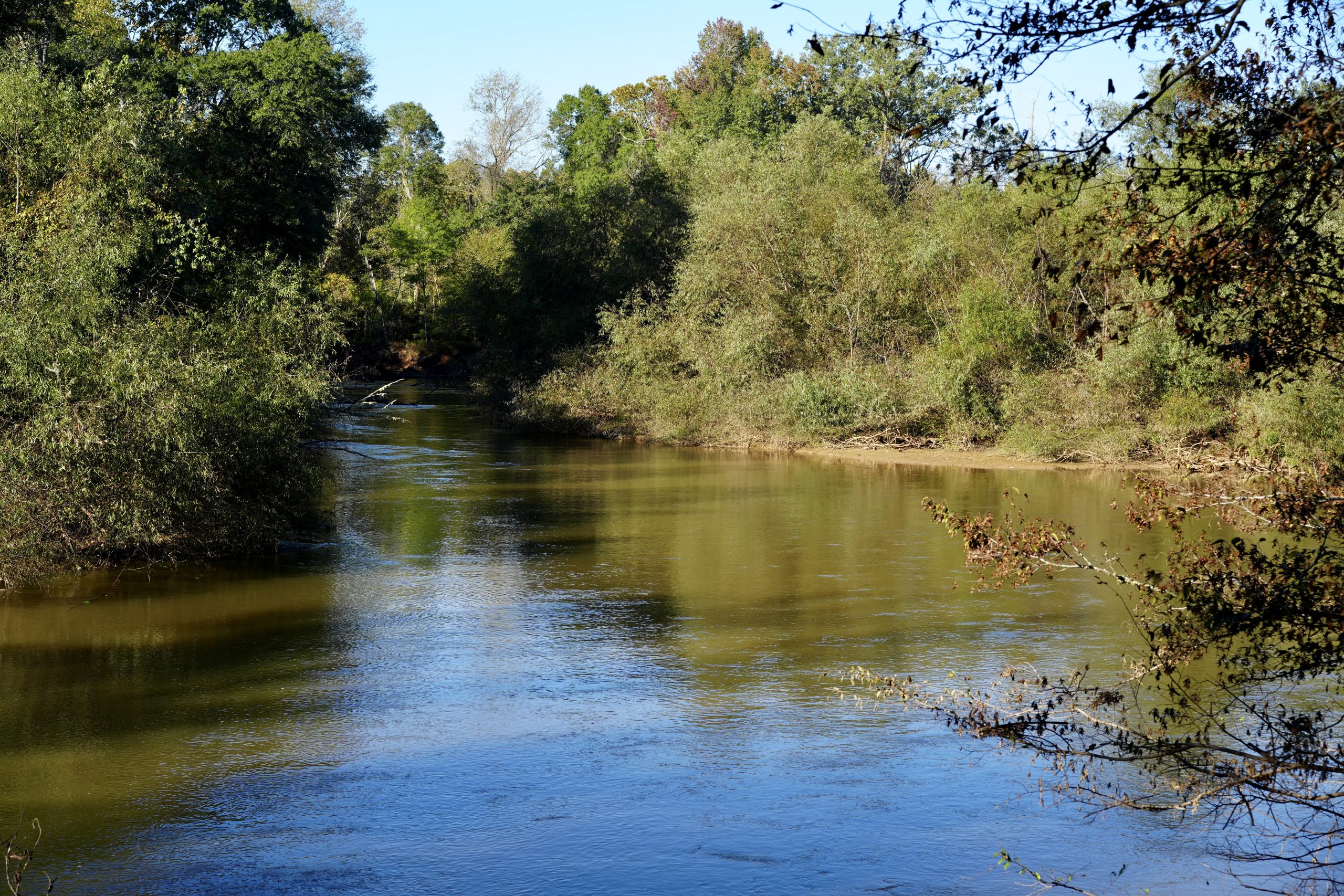 Savage Creek/Ocmulgee River Tract