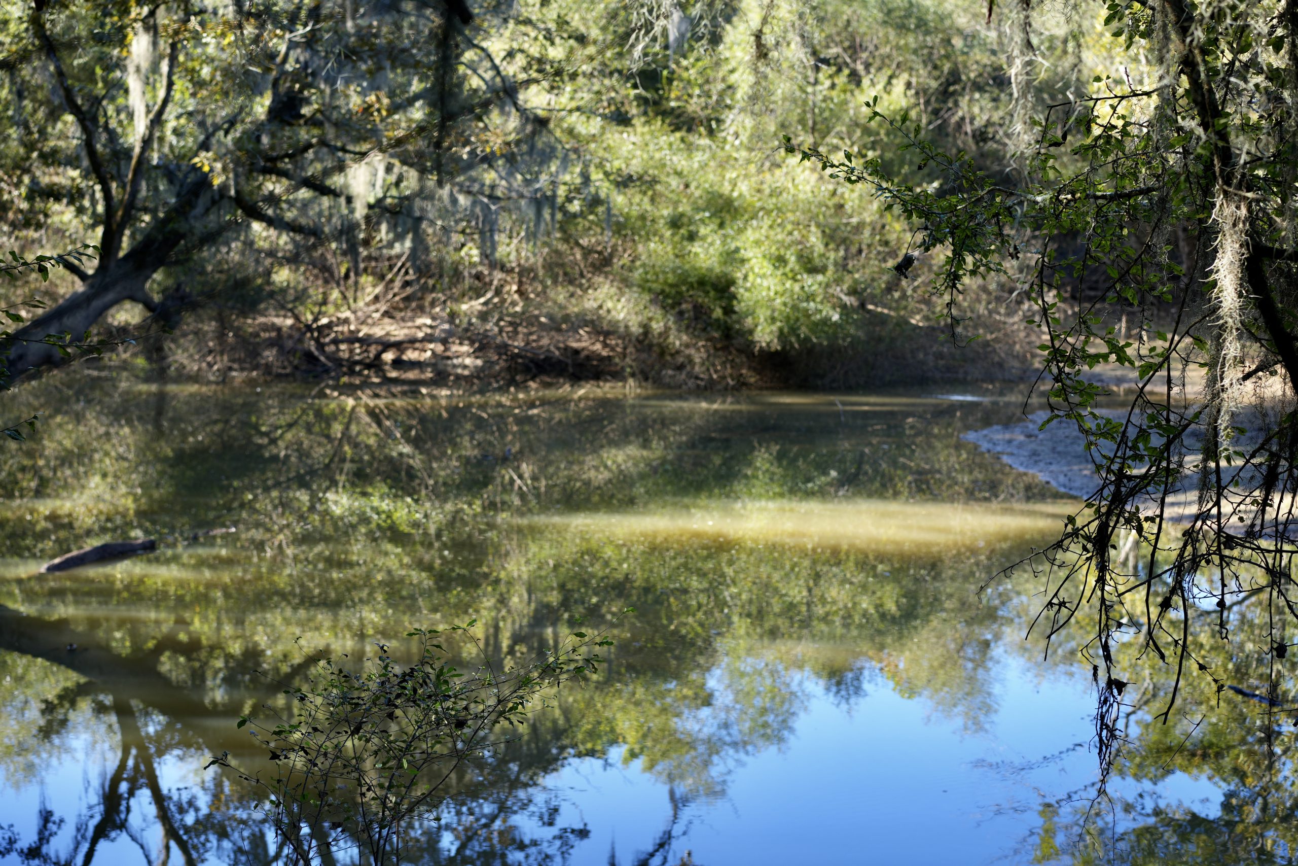 Savage Creek/Ocmulgee River Tract