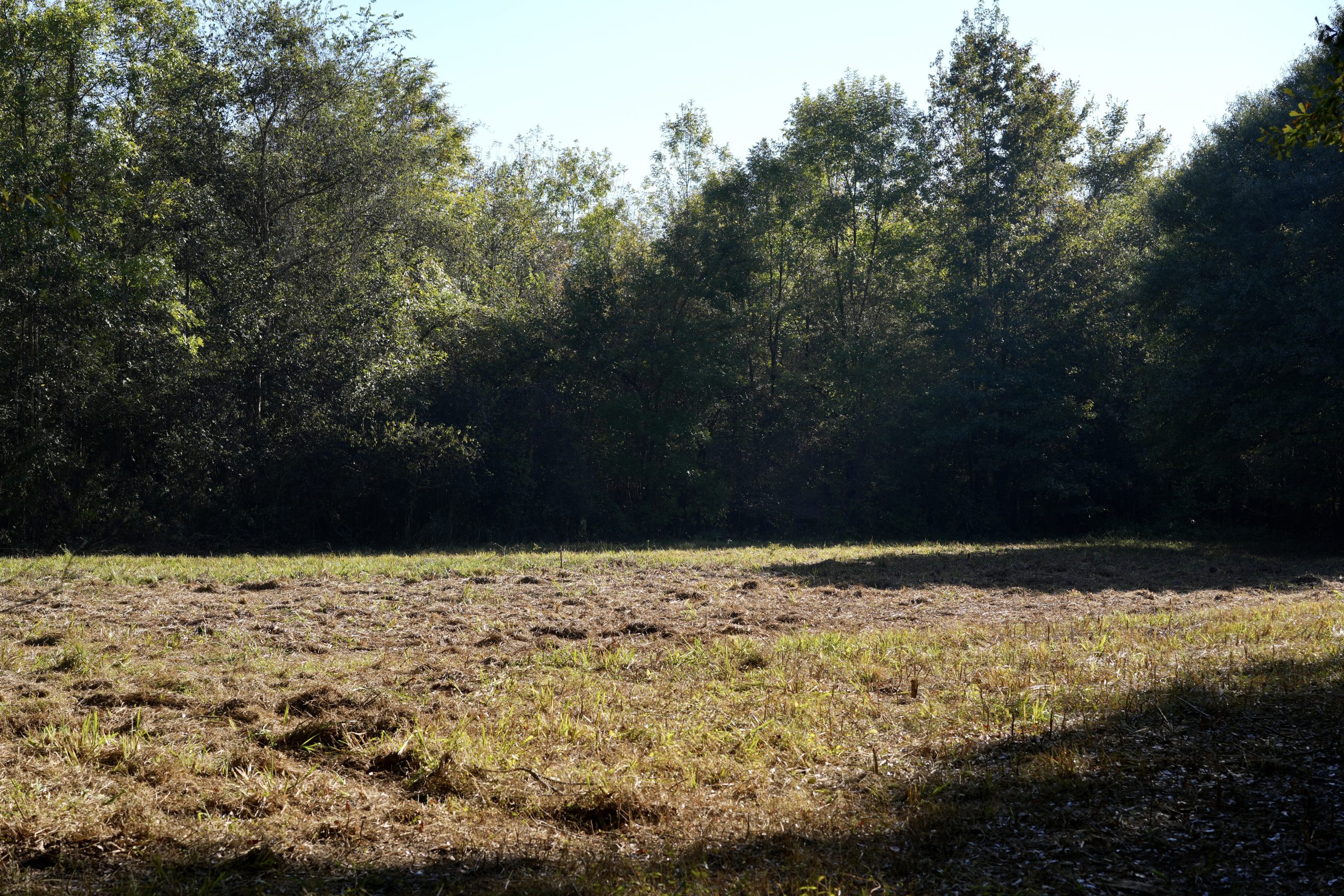 Savage Creek/Ocmulgee River Tract