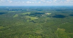 Camp Creek Mini Farm