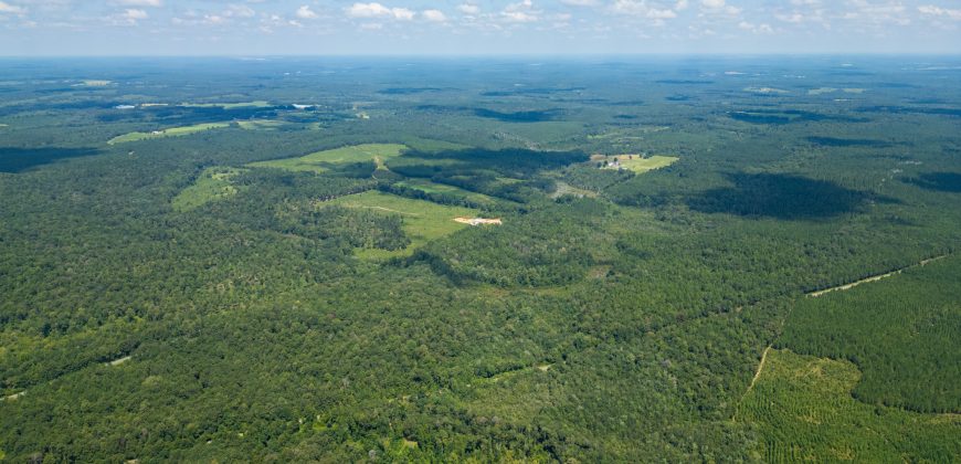 Camp Creek Mini Farm