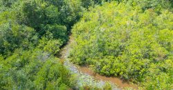 Camp Creek Mini Farm