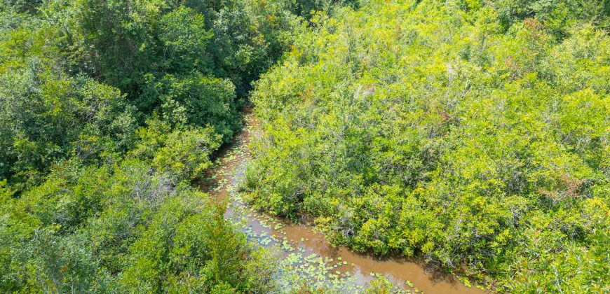 Camp Creek Mini Farm