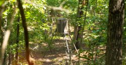 Camp Creek Mini Farm