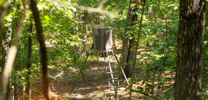 Camp Creek Mini Farm