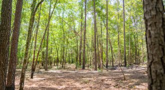 Camp Creek Mini Farm