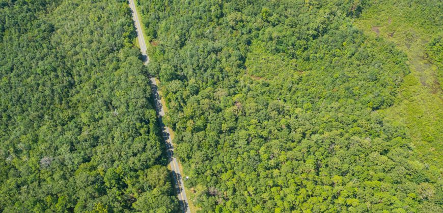 Camp Creek Mini Farm