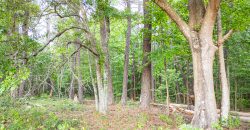 Turkey Creek Tributary Farm