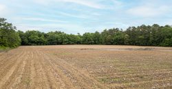 Turkey Creek Tributary Farm