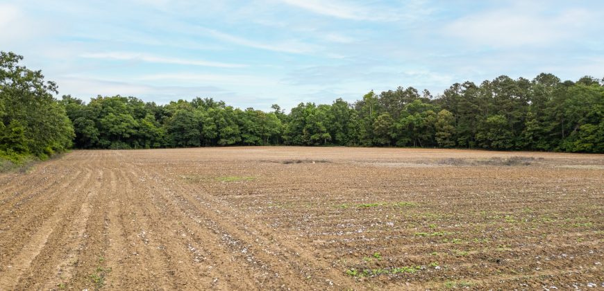 Turkey Creek Tributary Farm