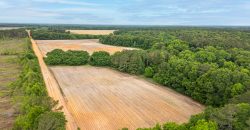 Turkey Creek Tributary Farm