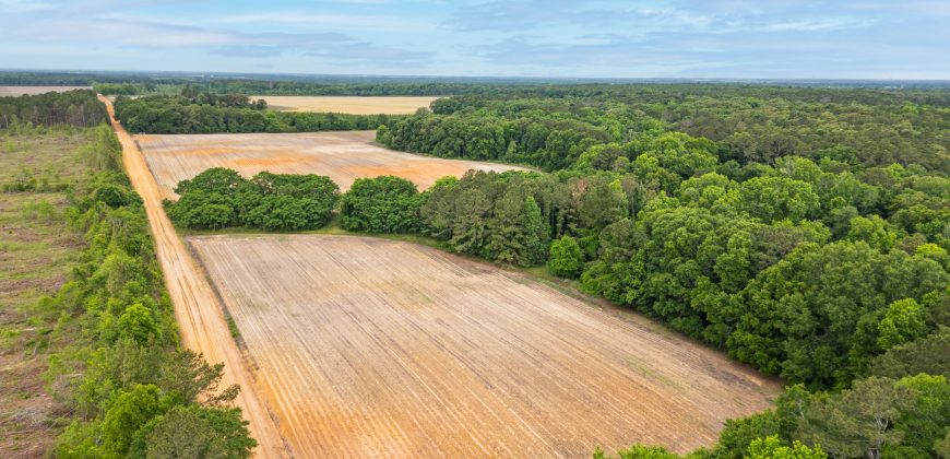 Turkey Creek Tributary Farm