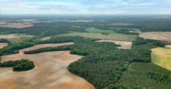 Turkey Creek Tributary Farm