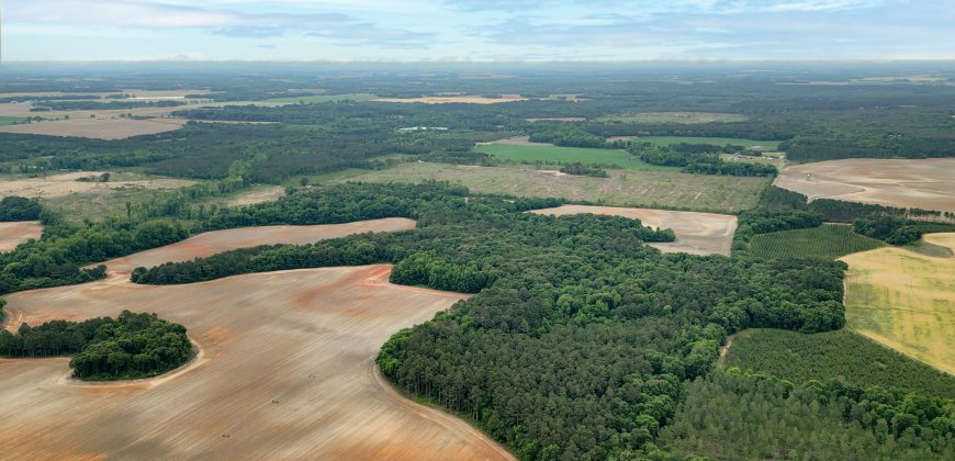 Turkey Creek Tributary Farm