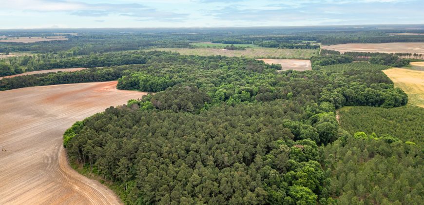 Turkey Creek Tributary Farm