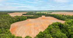 Turkey Creek Tributary Farm