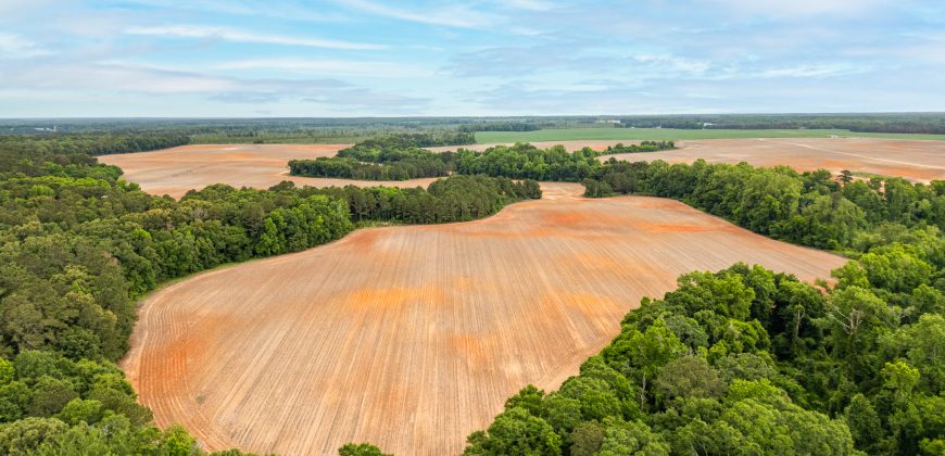Turkey Creek Tributary Farm
