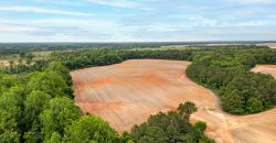 Turkey Creek Tributary Farm