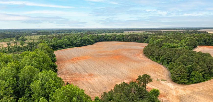 Turkey Creek Tributary Farm