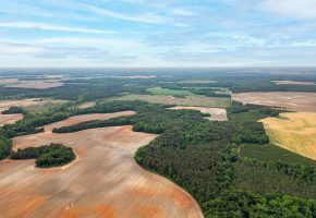 Turkey Creek Tributary Farm