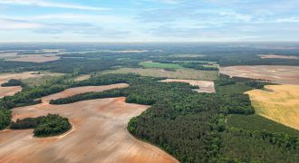 Turkey Creek Tributary Farm