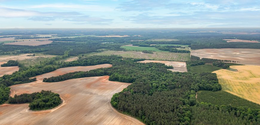 Turkey Creek Tributary Farm