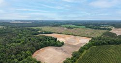 Turkey Creek Tributary Farm