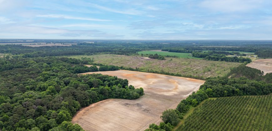 Turkey Creek Tributary Farm