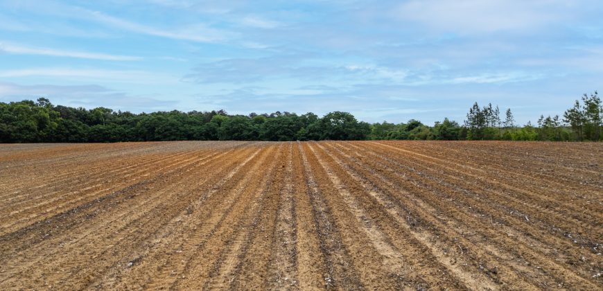 Turkey Creek Tributary Farm