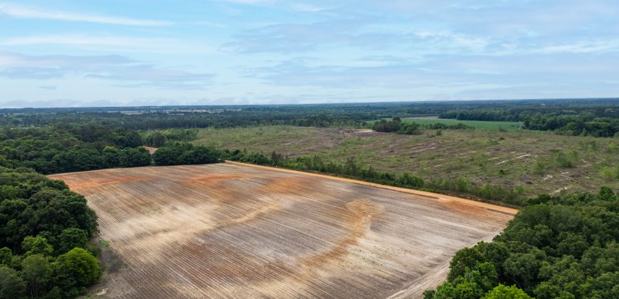 Turkey Creek Tributary Farm